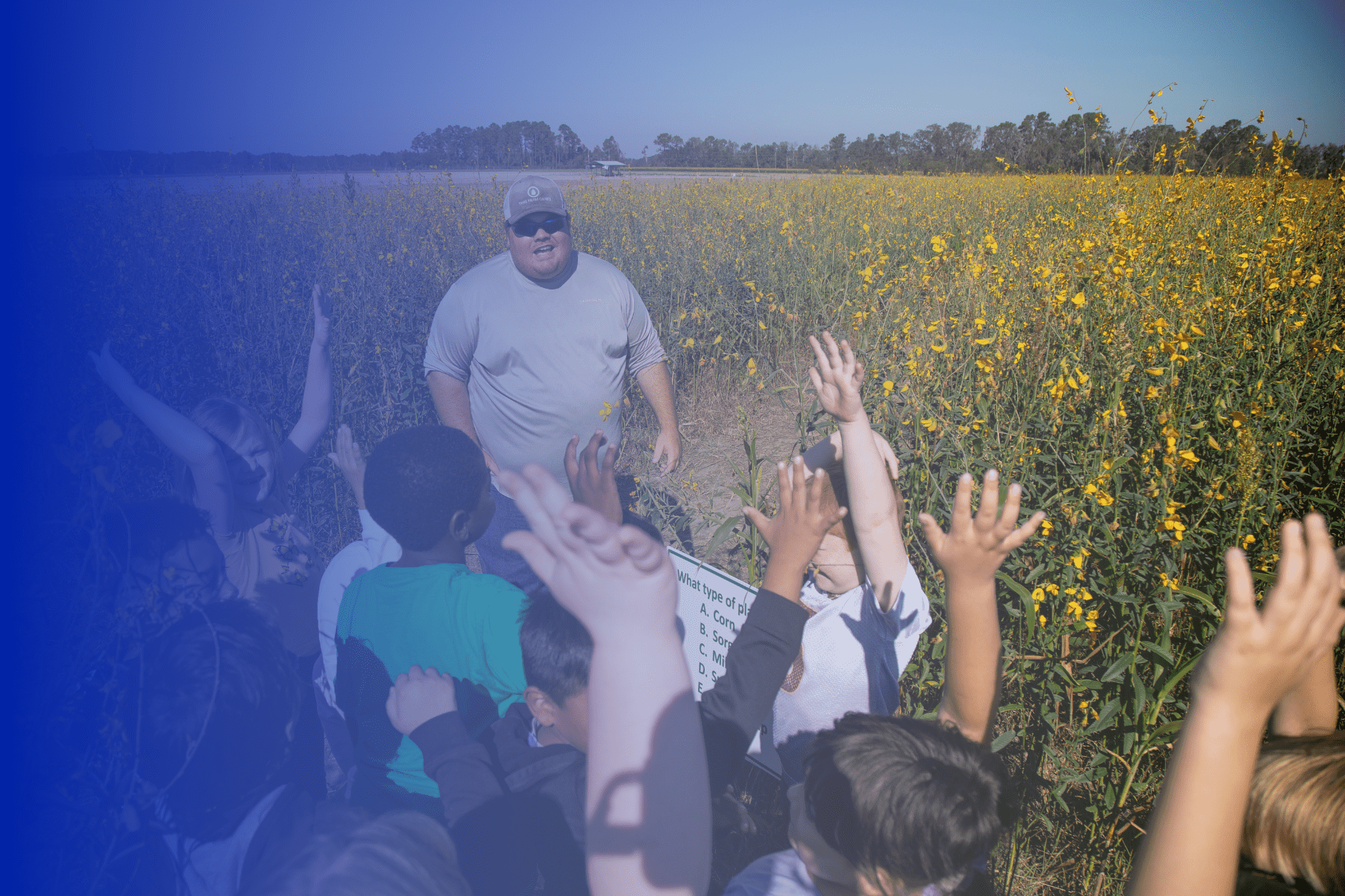 Children rising their hands during a lecture in the field